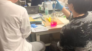 秋学期 学生実験を開始しました